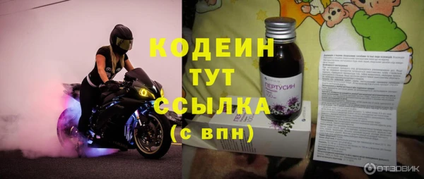 шишки Козловка