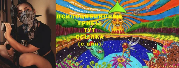 шишки Козловка